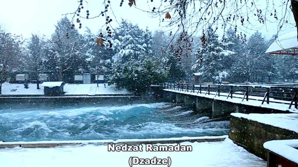 Nedzat Ramadan (DZADZE) - Djali vogel sunetli