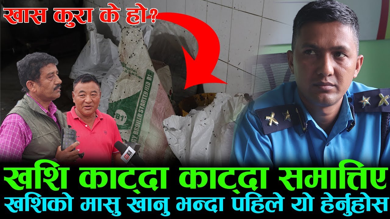 कास्कीमा नयाँ DSP ! खसि काट्दा काट्दा समात्तिए २ जना | खसिको मासु खानुहुन्छ ? होसीयार रहनुहोस !
