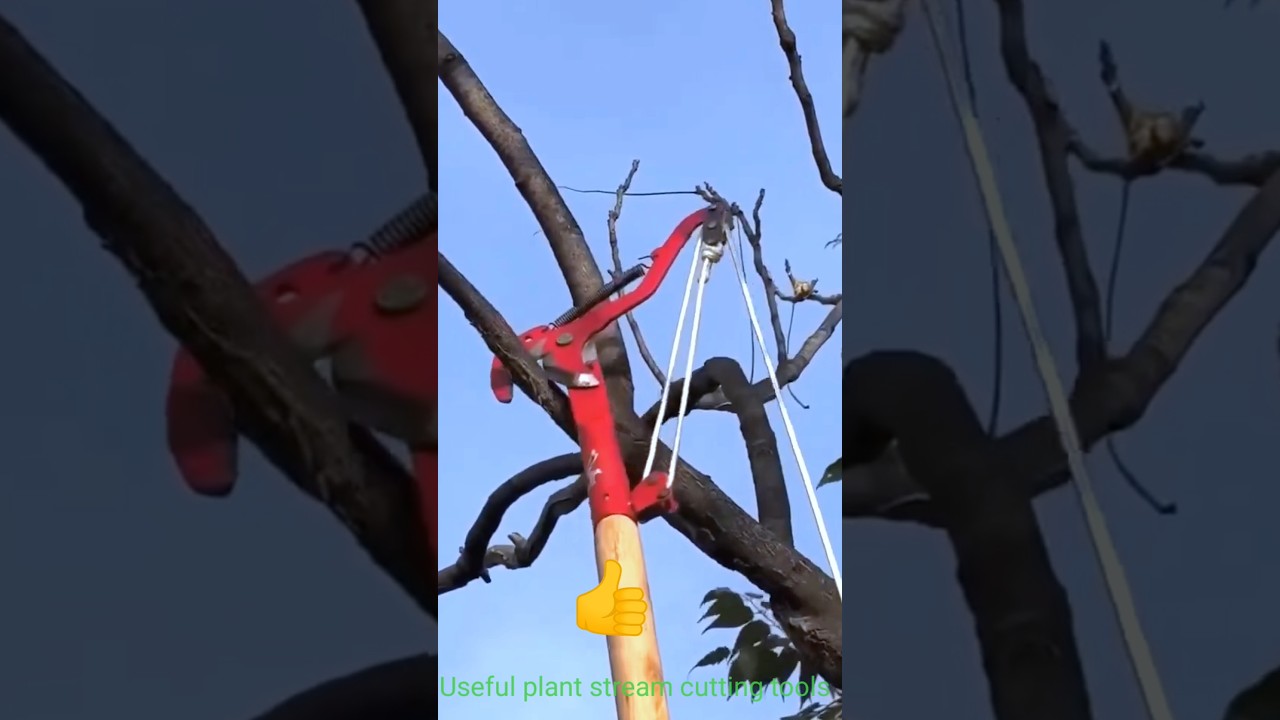 Plants steam cutter tool 