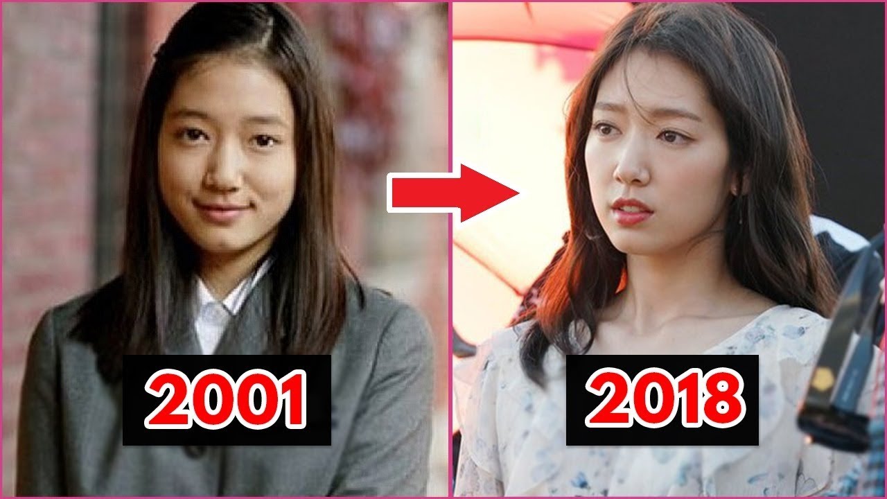 Park Shin Hye Evolution 2001 - 2018