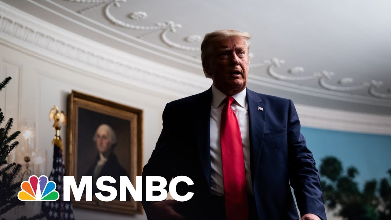 Trump Swamp: A Look Back At The Criminals Around Trump