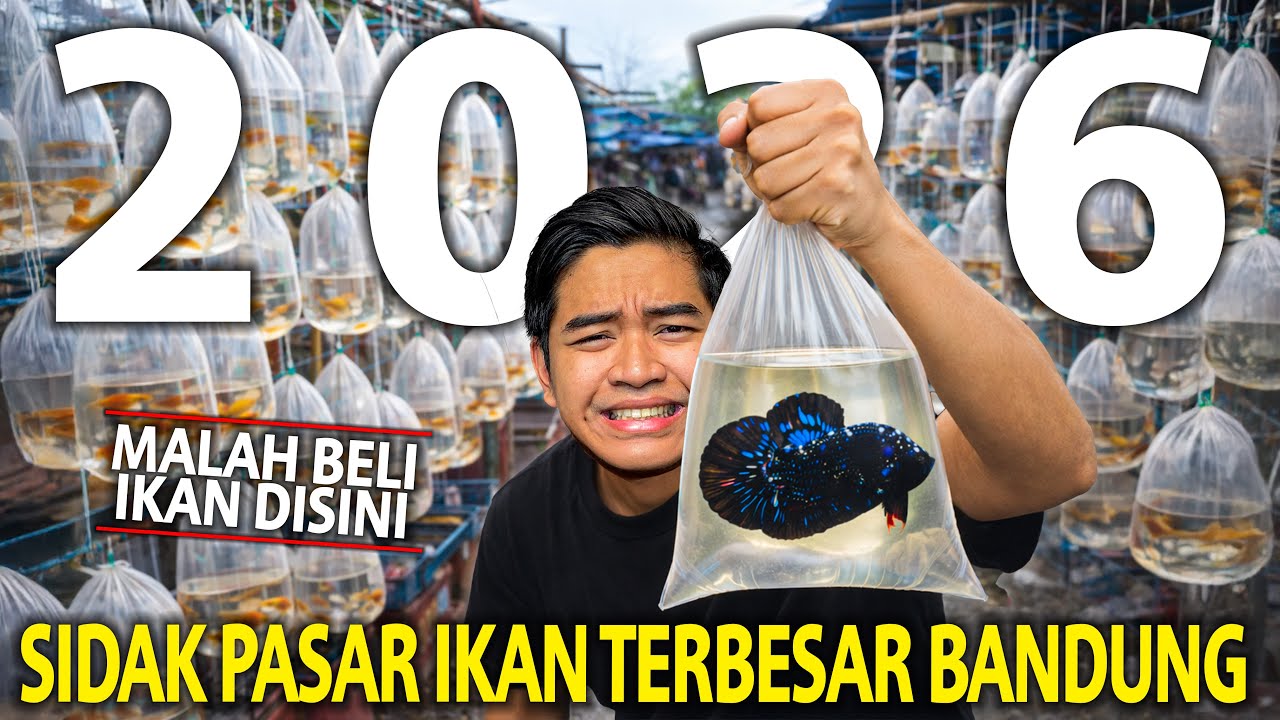 NIAT SIDAK PASAR IKAN TERBESAR DI BANDUNG 2026 MALAH KHILAF BELI IKAN! AKHIRNYA MAIN KESINI LAGI!
