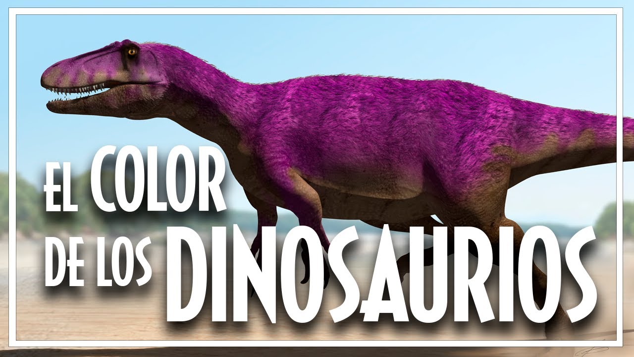 🦖 ¿PODEMOS SABER EL COLOR de los DINOSAURIOS?