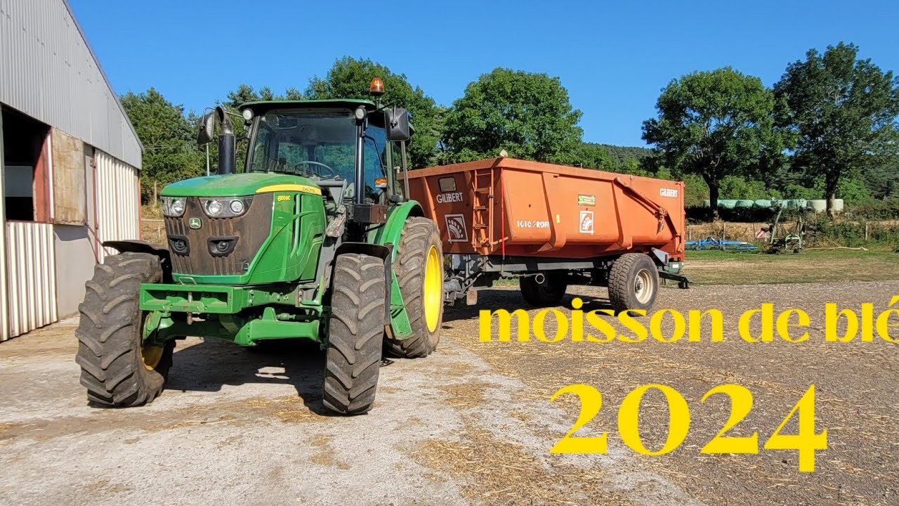 moisson de blé 2024 et vente des récoltes