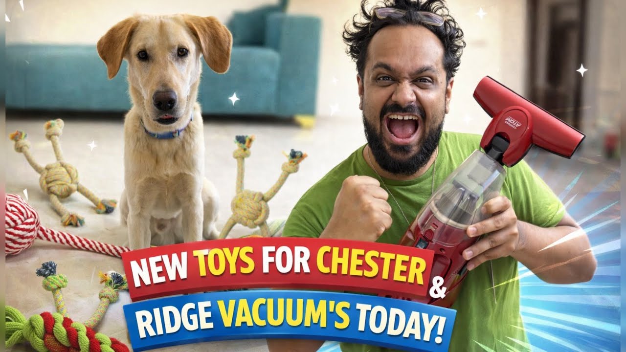 Dog Toys Unboxing 🐶| Ridge Vacuum Cleaning Duty 🧹 #vlog #vlogging #viral #trending #love #dog 