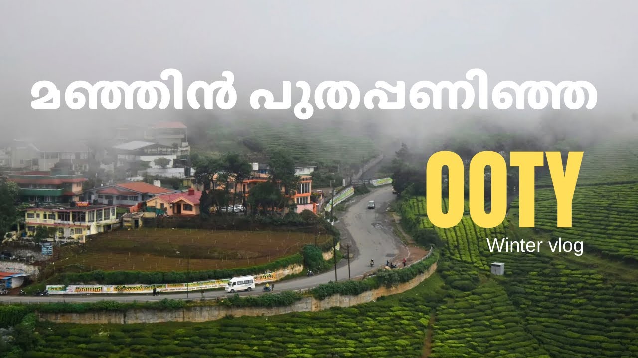 Bangalore to Ooty via Masinagudi | Scenic Forest Drive | Road Trip Vlog 
