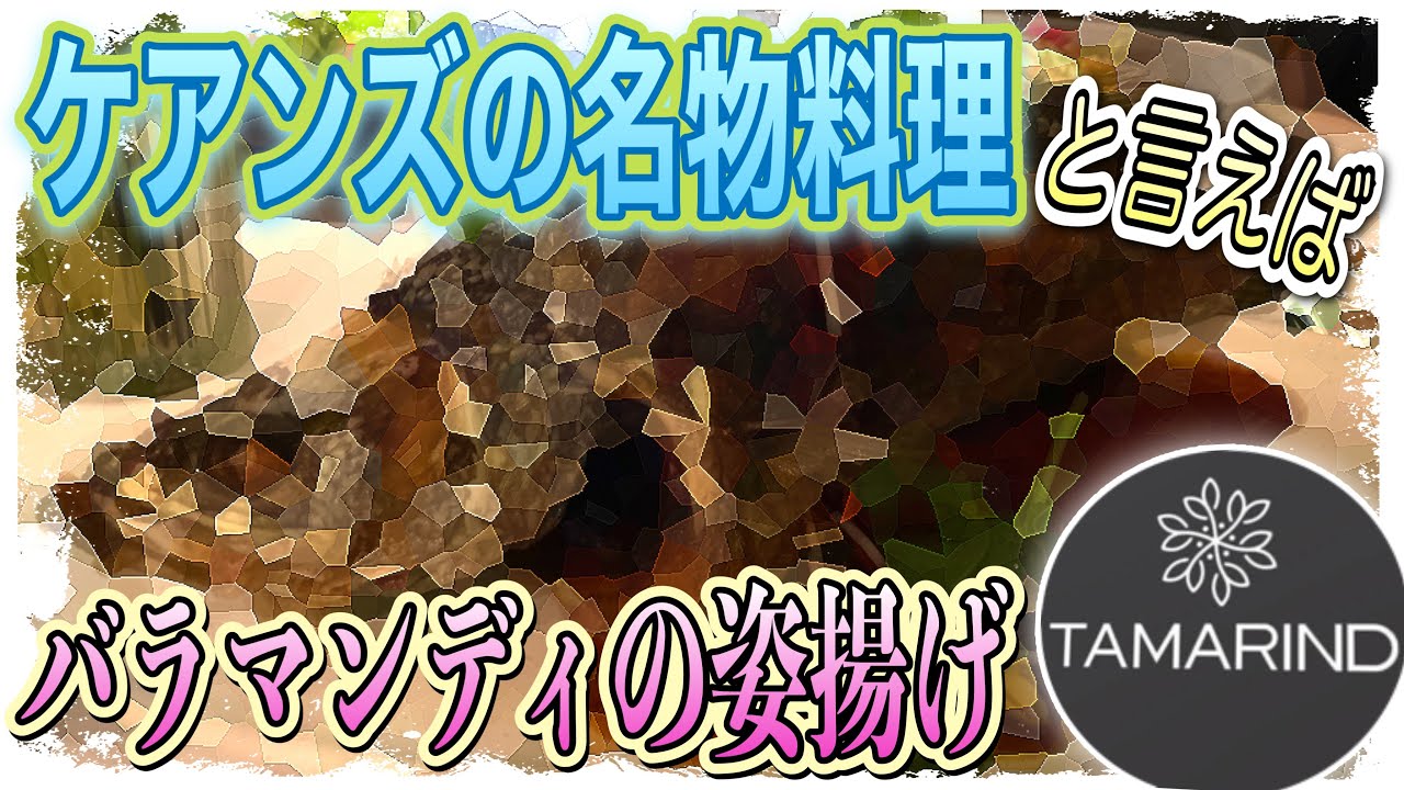 【ケアンズグルメ】ケアンズの名物料理といえばバラマンディの姿揚げ！　「TAMARIND」　第298ページ　AUSTRALIA CAIRNS CHANNEL