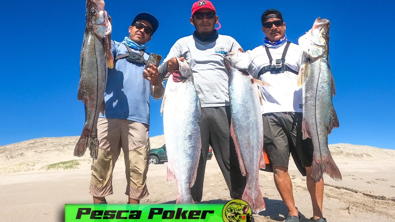 PESCA de ORILLA R&Oacute;BALOS y CORVINAS GIGANTES // Oc&eacute;ano Pac&iacute;fico