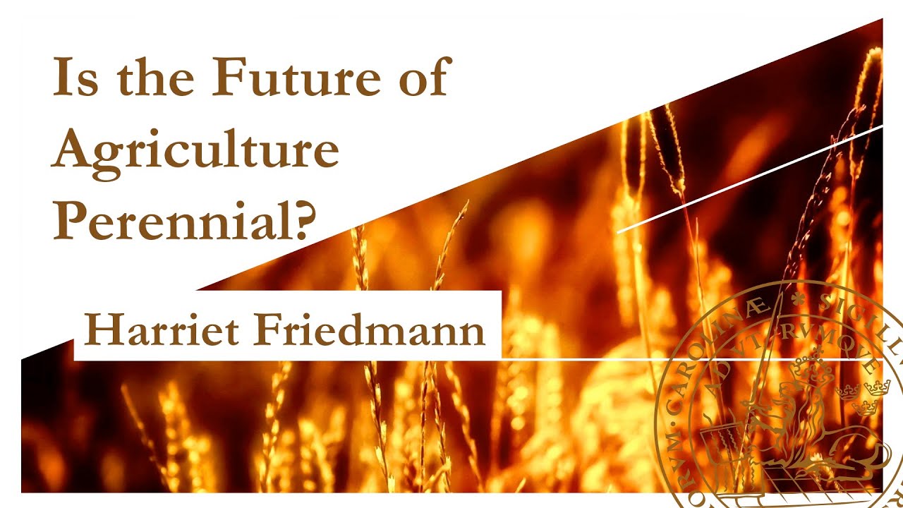 Harriet Friedmann, University of Toronto: Why we need to reinvent agriculture.
