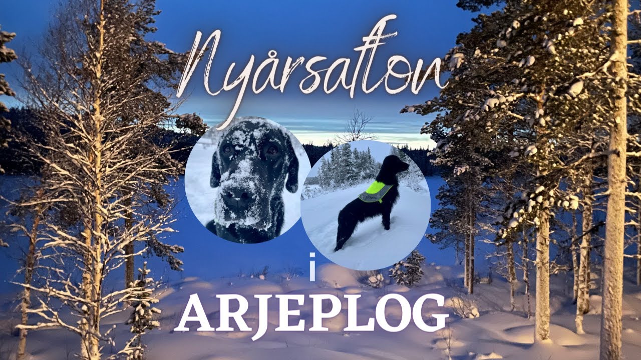Nyår i Arjeplog!