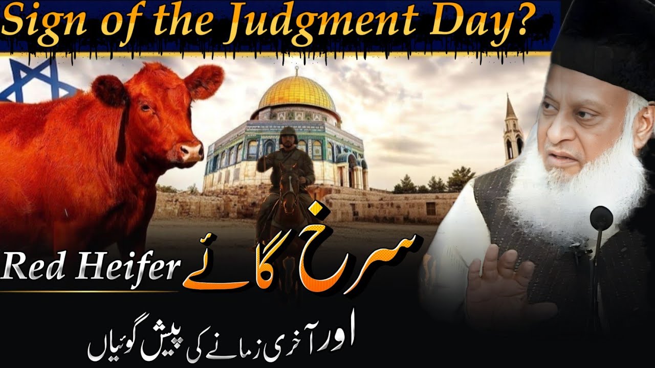 Surkh Gaaye Aur Dajjal Ka Raaz | Yahudiyon Ki Chhupi Sazish | Red Cow Prophecy | Dr Israr Ahmed