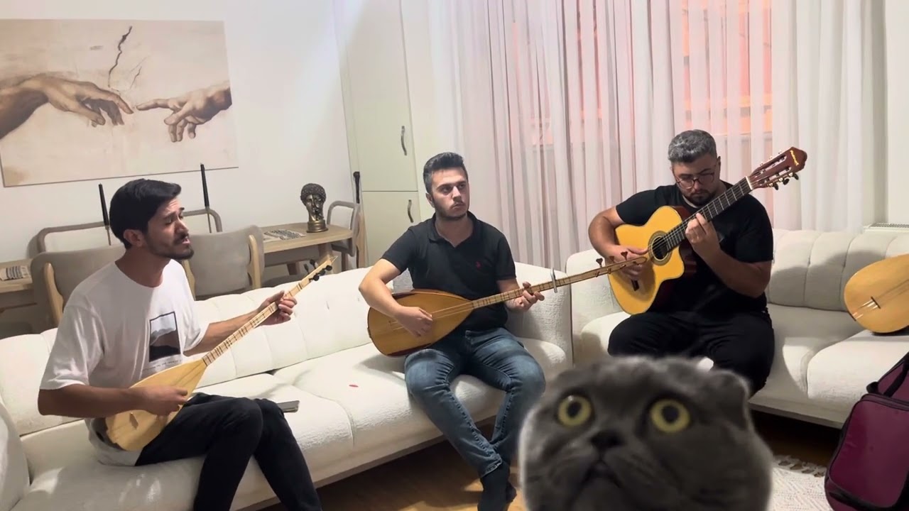 Harman Yeri Sürseler