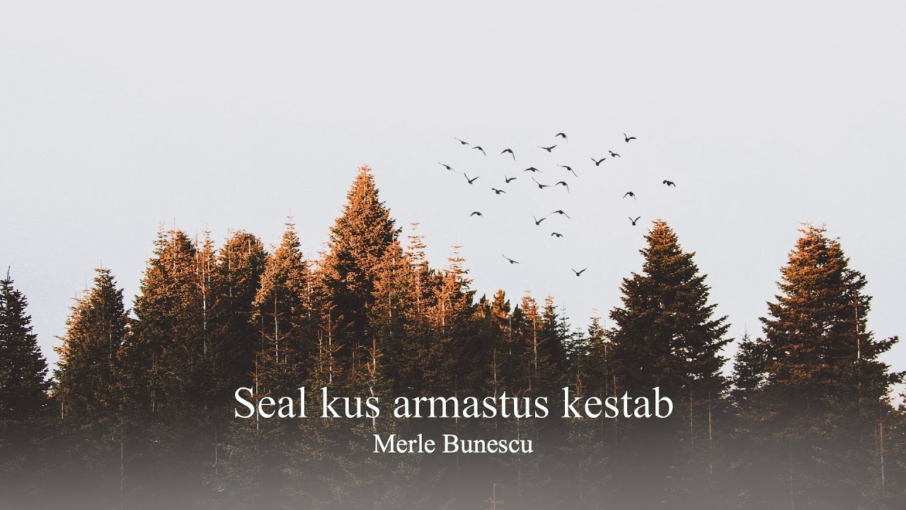 Seal kus armastus kestab - Merle Bunescu