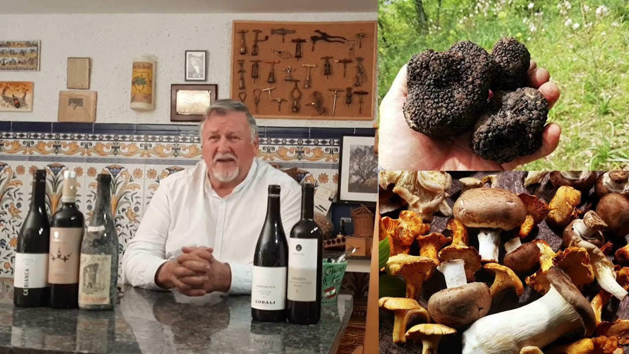 181 - Barbaresco frente a Barolo. Conoce estos grandes vinos.