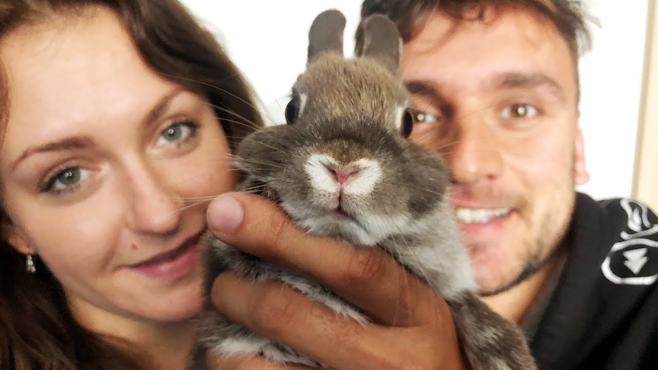Pet Tag s Ňuf&iacute;kem | Tary a St&aacute;ňa