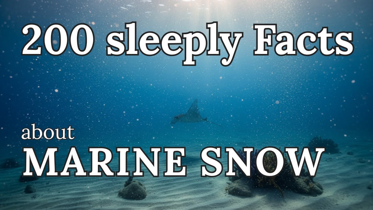 Seafloor Sediments & Marine Snow — 100 Sleepy Science Facts To Fall Asleep To (No Ads, 432 Hz)