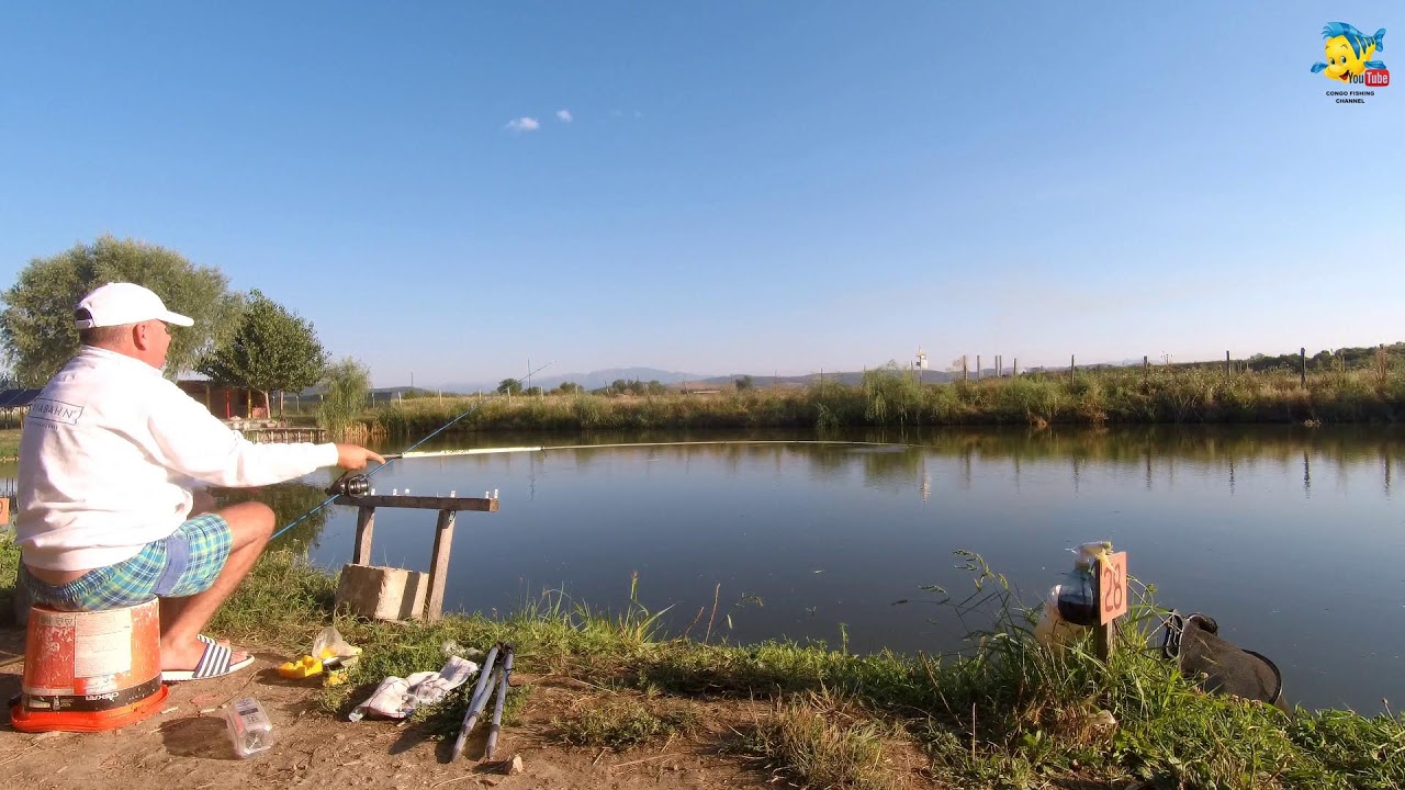 MĂCEL PE BALTA STUPĂREI - Congo Fishing Channel Live Stream
