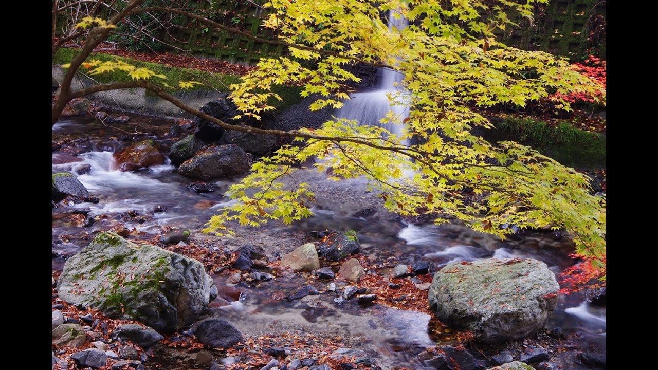 33 ⅓ RPM,  Hozan Yamamoto { 沢之瀬 = Sawanose } 1970,