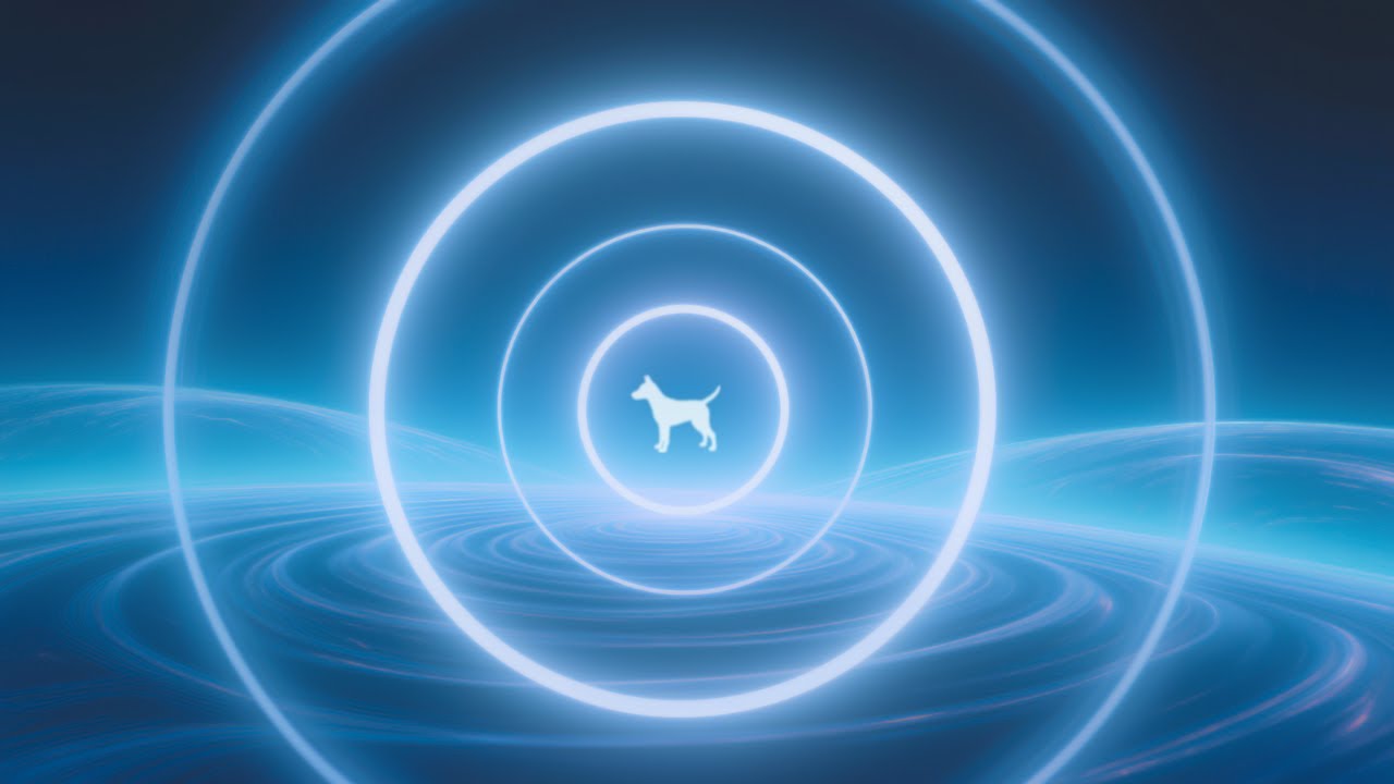 111 Hz Emotional Harmony for Dogs – Overnight Support (10 Hours)