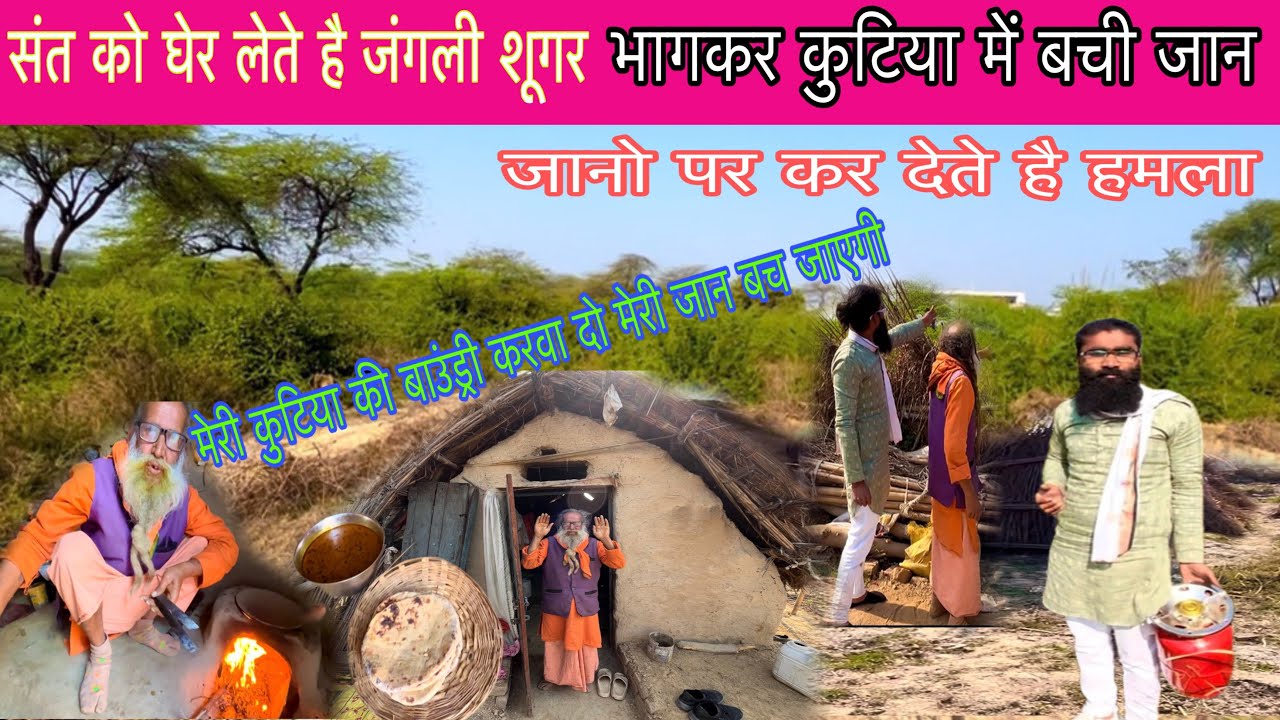 संत को घेर लेते है जंगली शूगर भागकर कुटिया में बची जान ||Vk Baba vlogs 