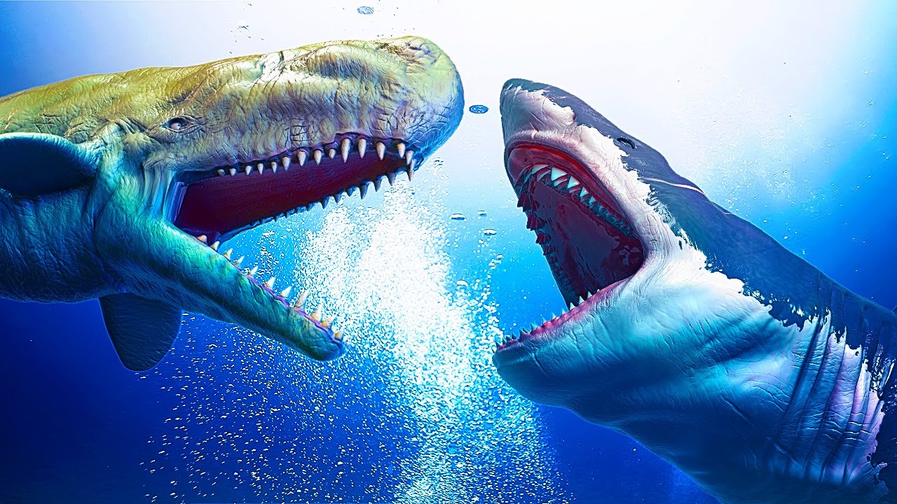 Megalodon Vs Livyatan: Loài Nào Sẽ Thắng?