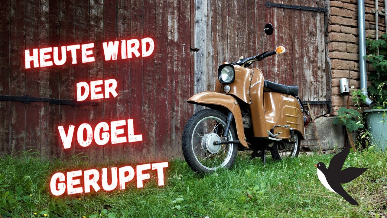 🔧 HOW TO: SCHWALBE AUSEINANDERBAUEN 🔧| Meine erste Simson Schwalbe | Projekt Schwalbe #1