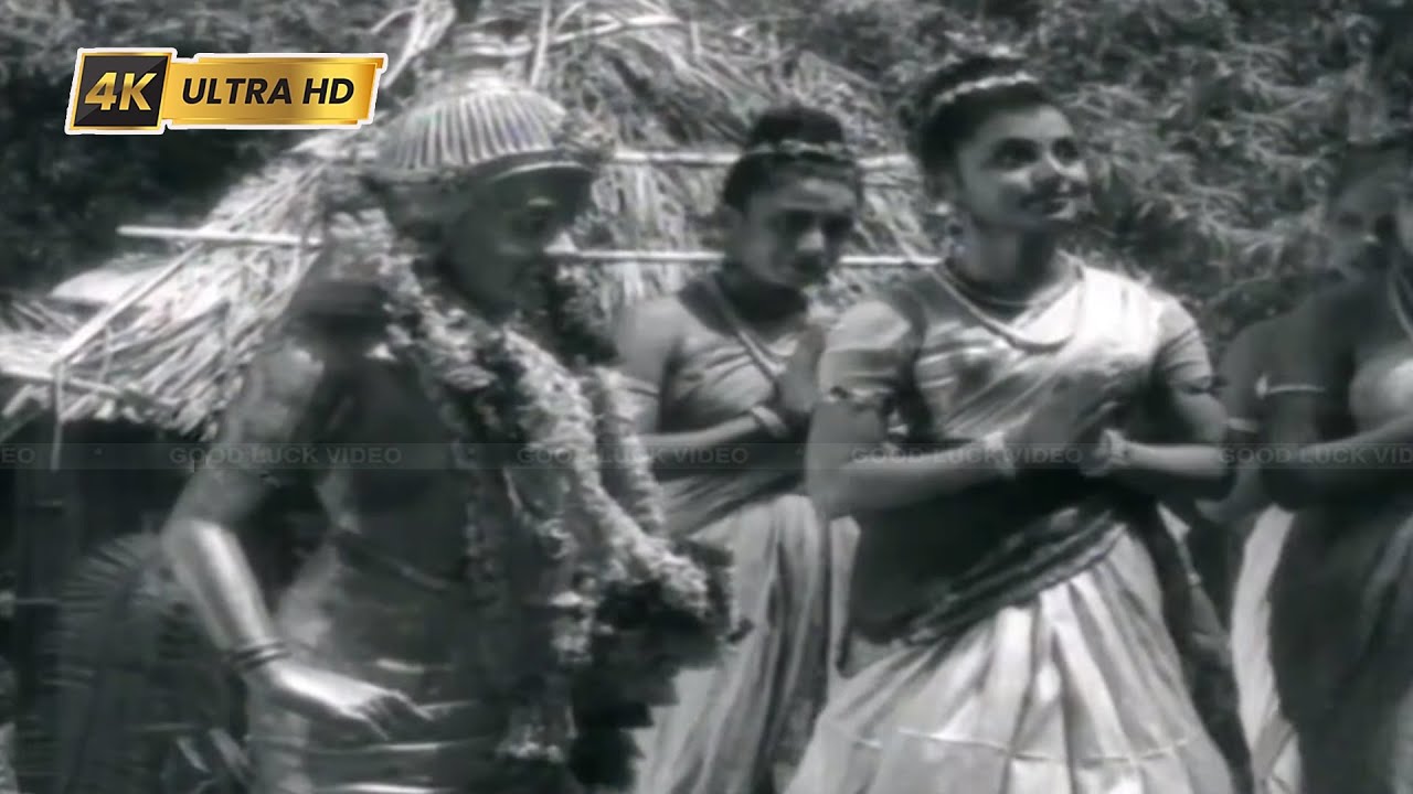 முரளி காண விலோல முகுந்தா பாடல் | Murali Gaana Vilola Muguntha song |  K. V. Janaki .