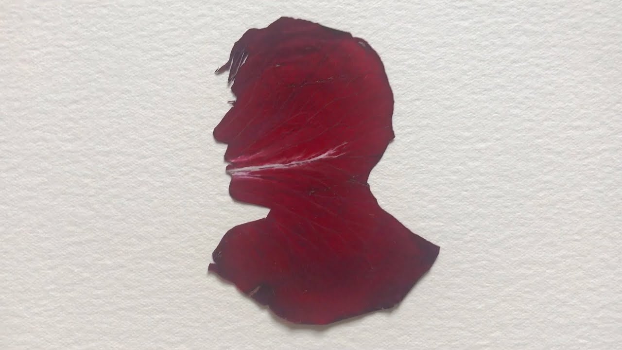 How to make a silhouette portrait
