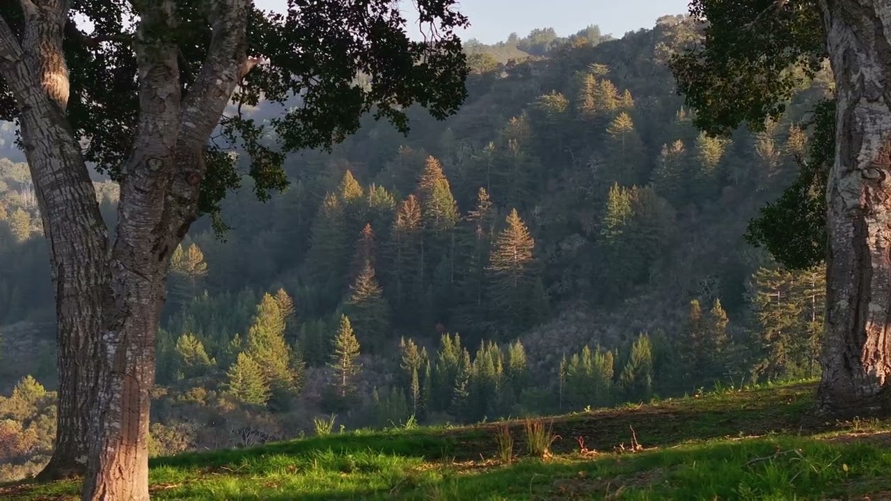 Welcome to 17 Rancho San Carlos Road in the Santa Lucia Preserve