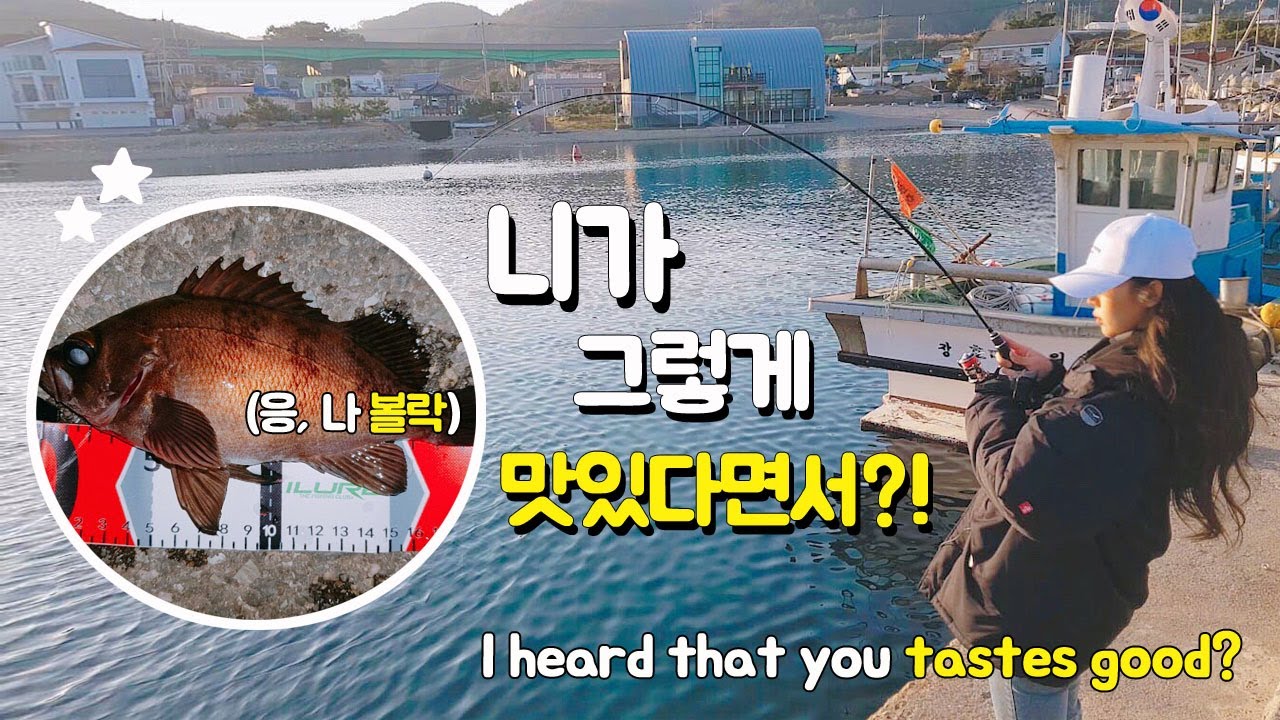 앵쩡티비:D 볼락 니가 그렇게 맛있다면서?! I heard that you tastes good?