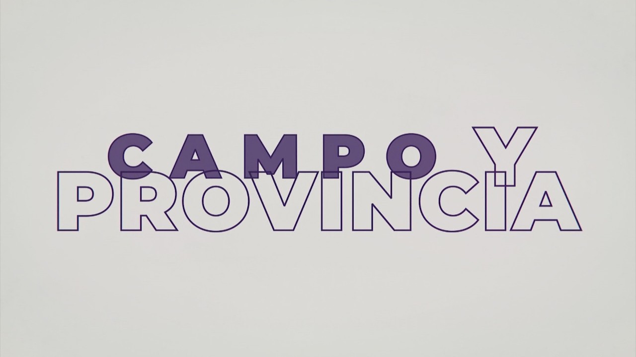 CAMPO Y PROVINCIA 3 DE MARZO DE 2026