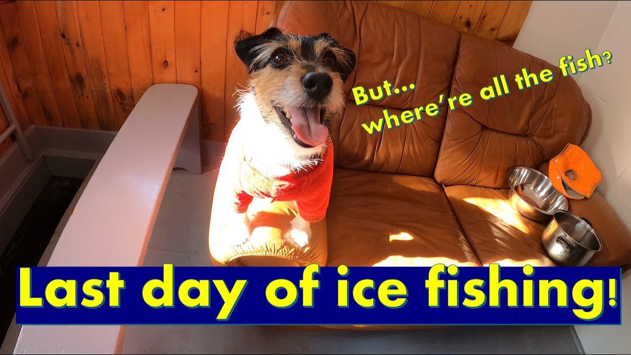 Ice Fishing in Quebec | Last Day of Tom Cod Season