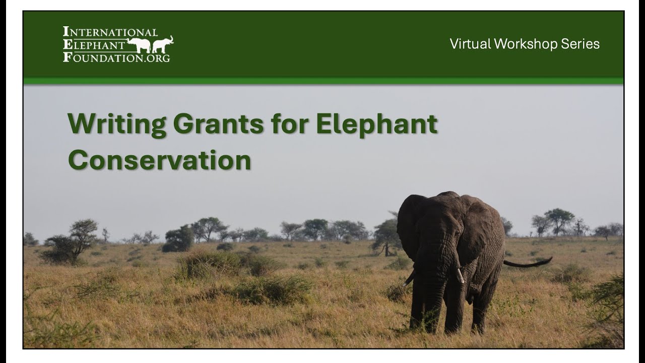 IEF Grant Writing Workshop