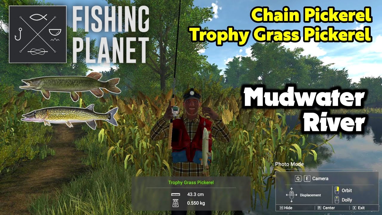 Chain Pickerel, Trophy Grass Pickerel Mudwater River - Fishing Planet