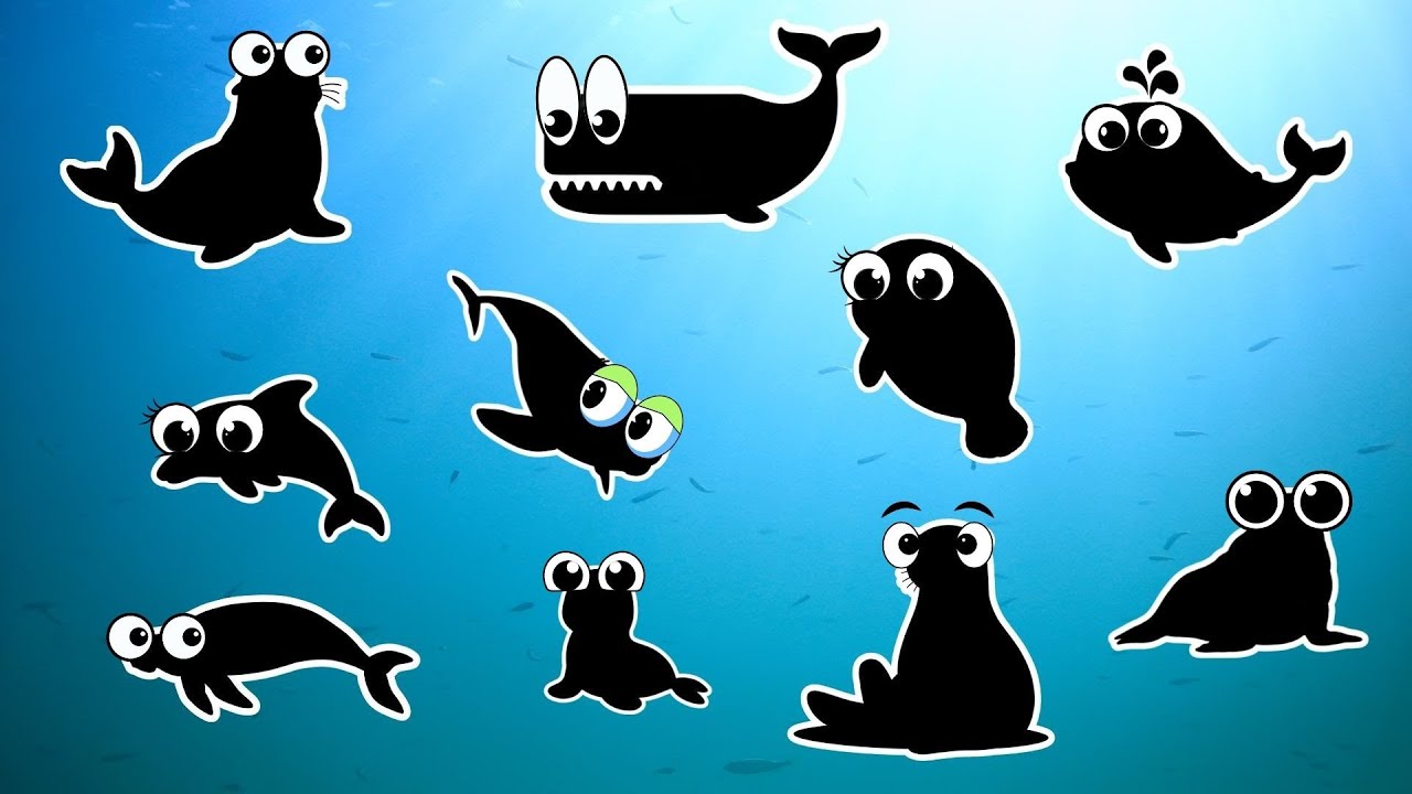 🔍🐳 Que Animal é Esse? Sombras dos Mamíferos Marinhos