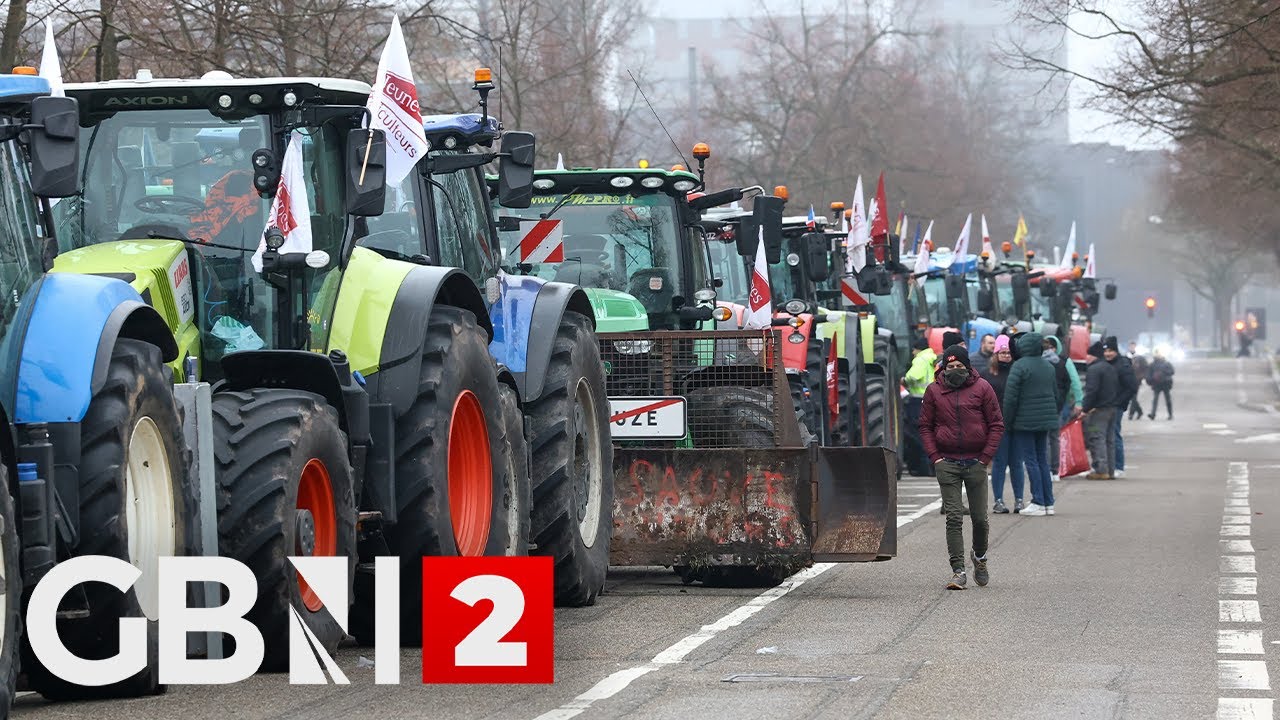 WATCH: French farmers protest in Strasbourg against Mercosur trade deal