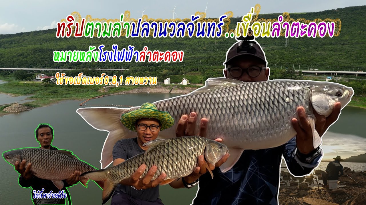 ทริปตามล่าปลานวลจันทร์..เขื่อนลำตะคอง หมายหลังโรงไฟฟ้าลำตะคอง
