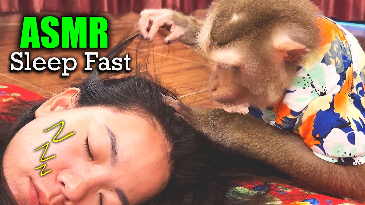 ASMR For People Who NEED Instant Sleep | Tingly Monkey Mouth Sounds & Hair Scratching