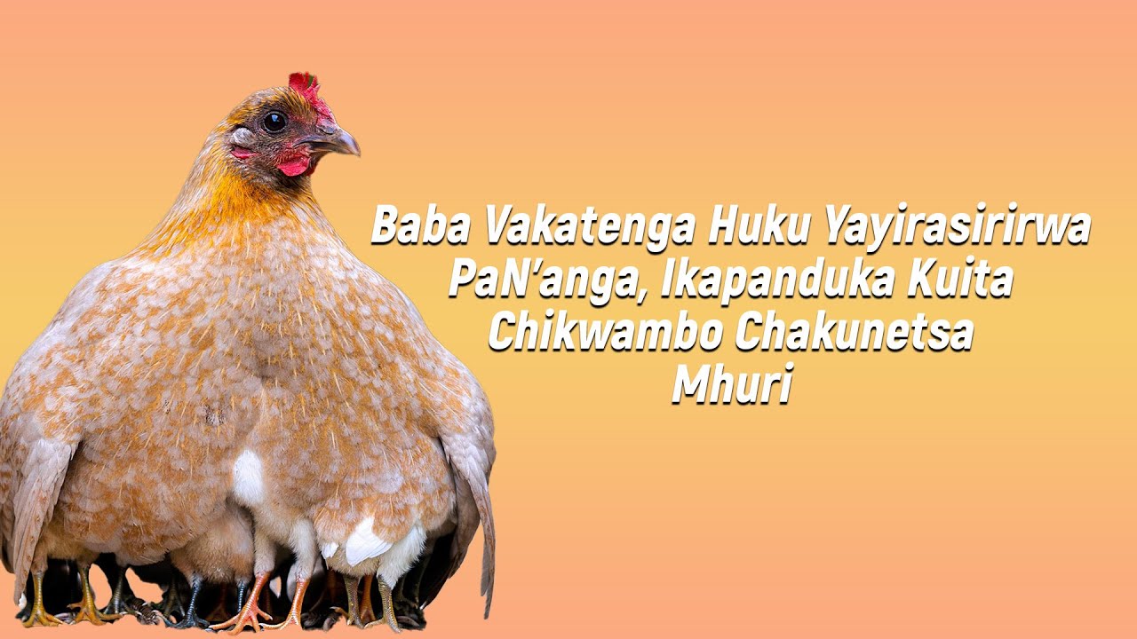 Sekuru Tasvu: Vakatenga Huku Yakarasirirwa, Vana Vanorwara Kunge Vachafa Nguva Dzekunyora Mazama
