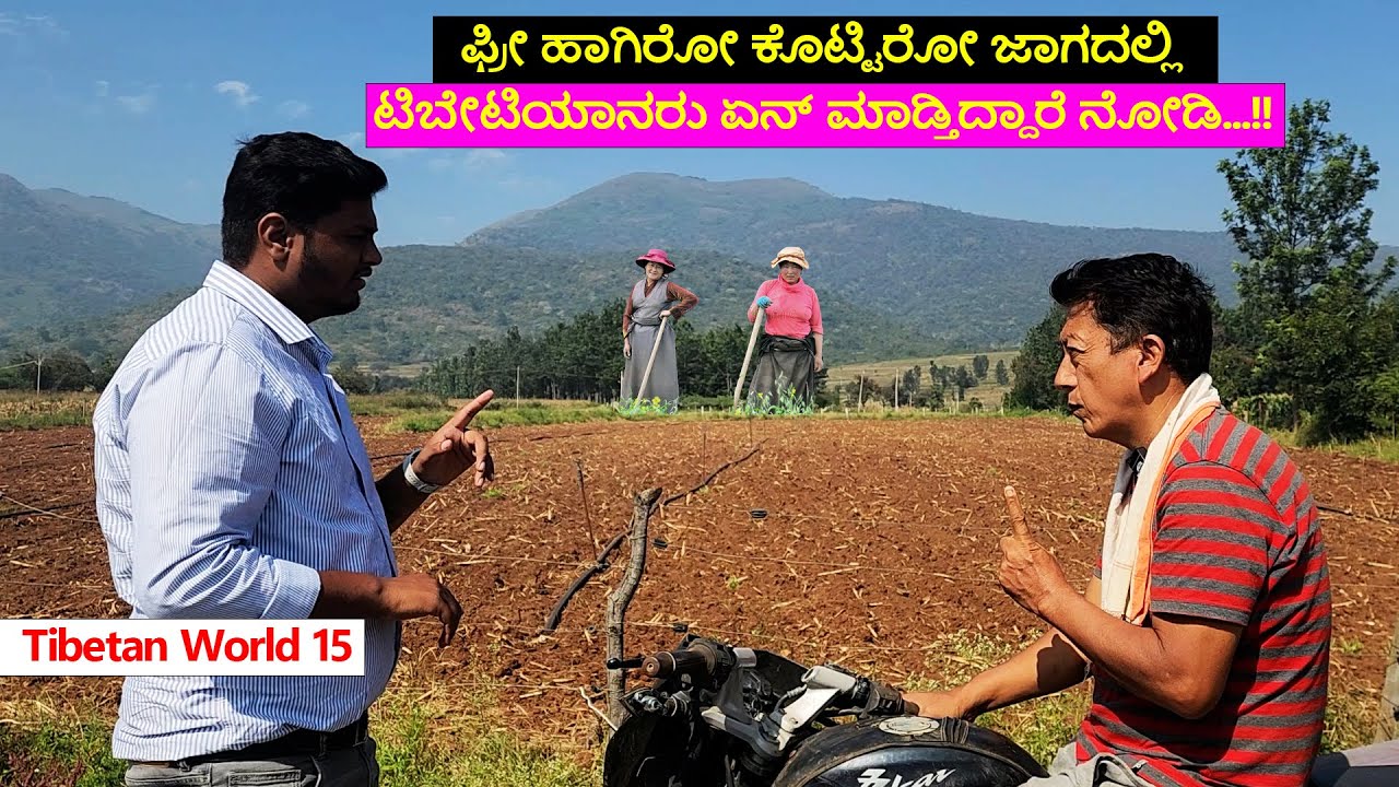 ಟಿಬೆಟಿಯನ್ ರೈತರು ಜಮೀನ್ದಾರರು -ಎಲ್ರು  ಕೃಷಿ ಮಾಡ್ತಾರೆ ಟಿಬೆಟ್ Village ಟೂರ್ DigitalMaadhyma Tibetan World15