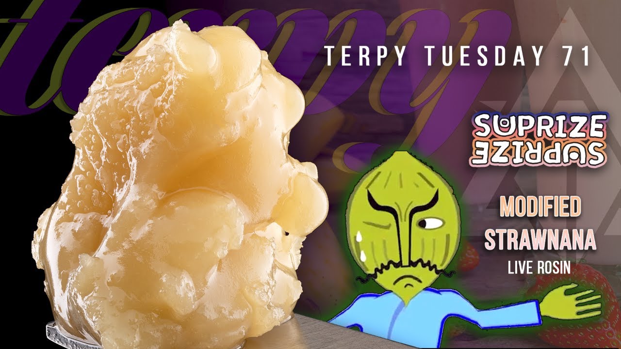 Terpy Tuesday Ep. 71: Suprize Suprize Modified Strawnana Live Rosin