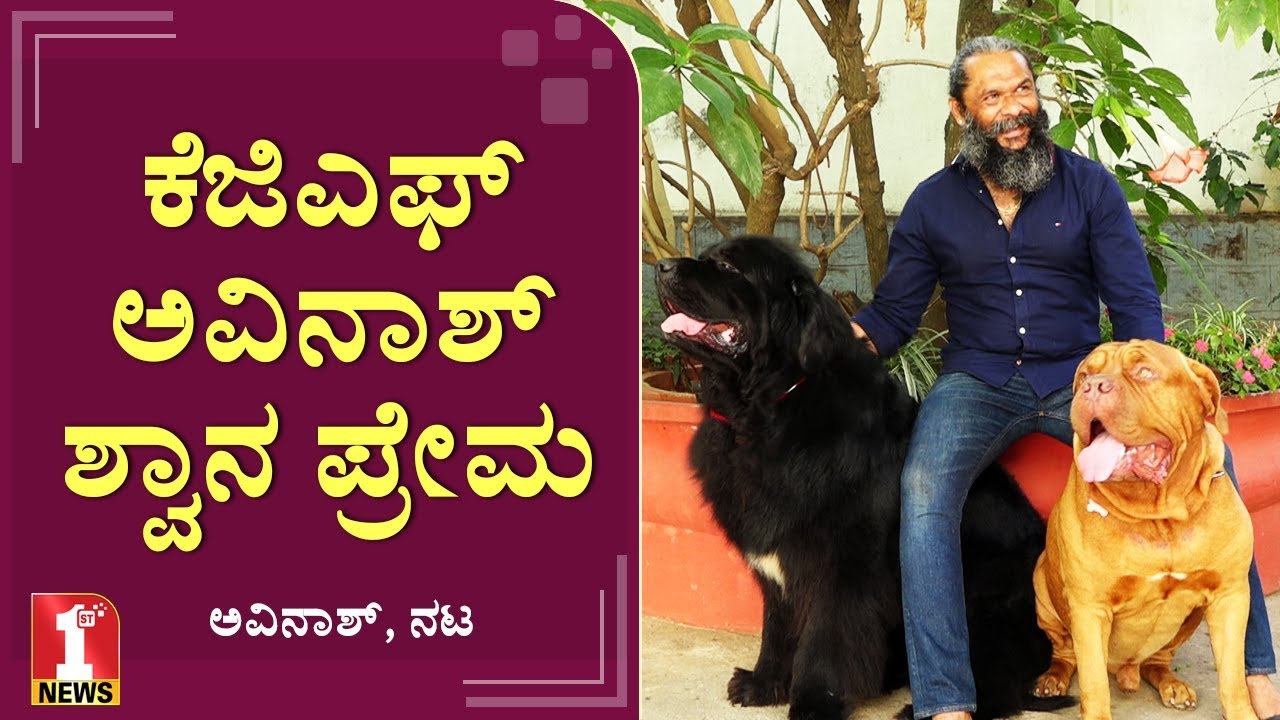 ಕೆಜಿಎಫ್‌ ಅವಿನಾಶ್ ಪ್ರೀತಿಯ ನಾಟಿ ರುದ್ರ, ಕ್ಯೂಟಿ ವೀರ..! | Actor Avinash | KGF Movie Villain