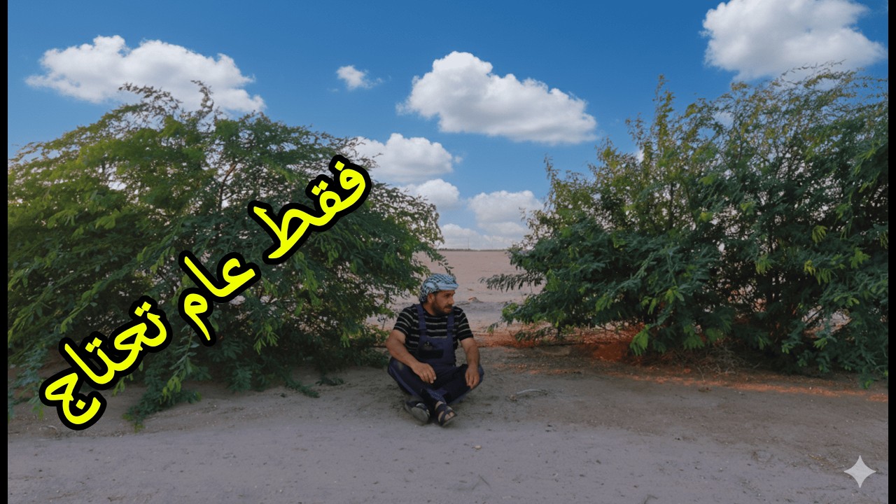زرعت الأشجار قبل عام… واليوم نكشف سر الفلفل الأسود!