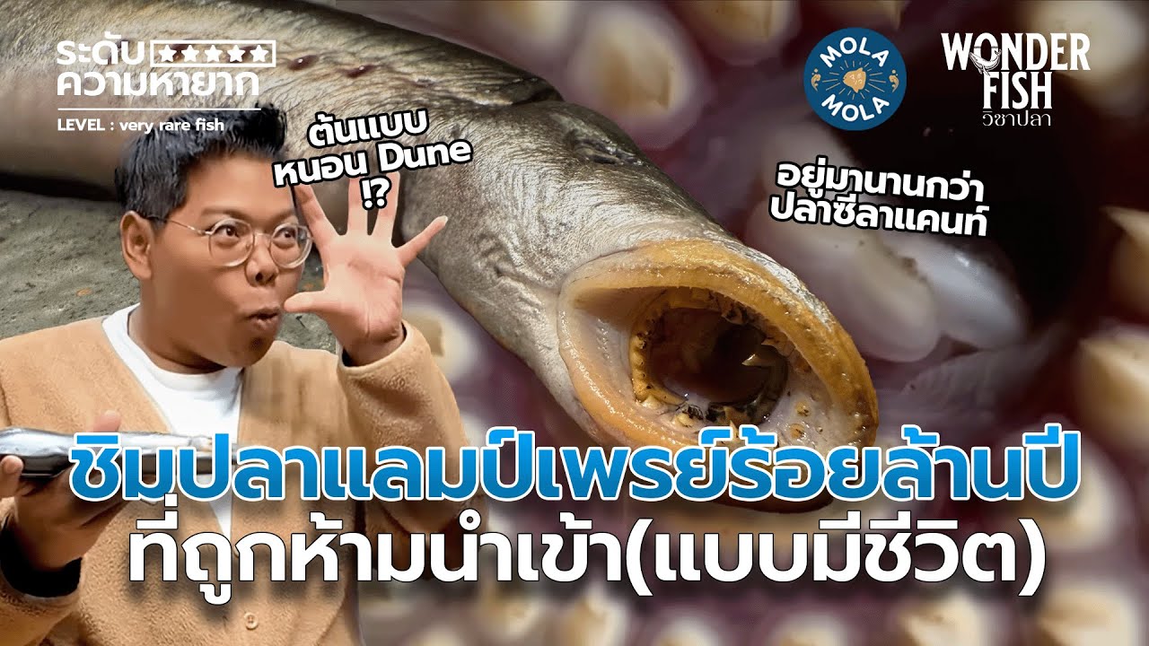 รู้จักกับ 