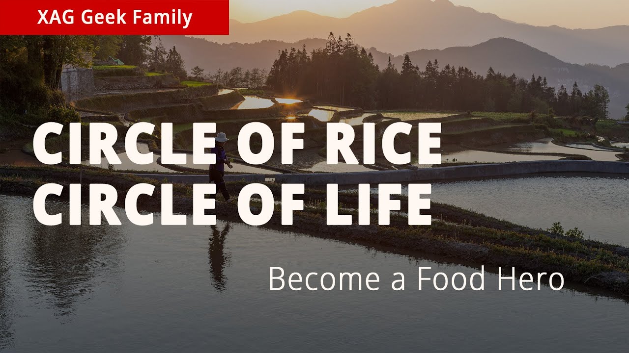 XAG Focus | Circle of Rice, Circle of Life