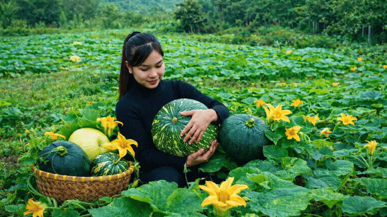 Morning Pumpkin Harvest & Simple Country Cooking | Peaceful Rural Life