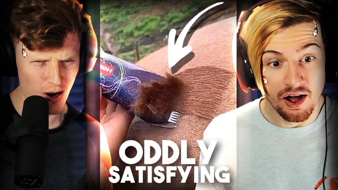 REACTING TO ODDLY SATISFYING VIDEOS