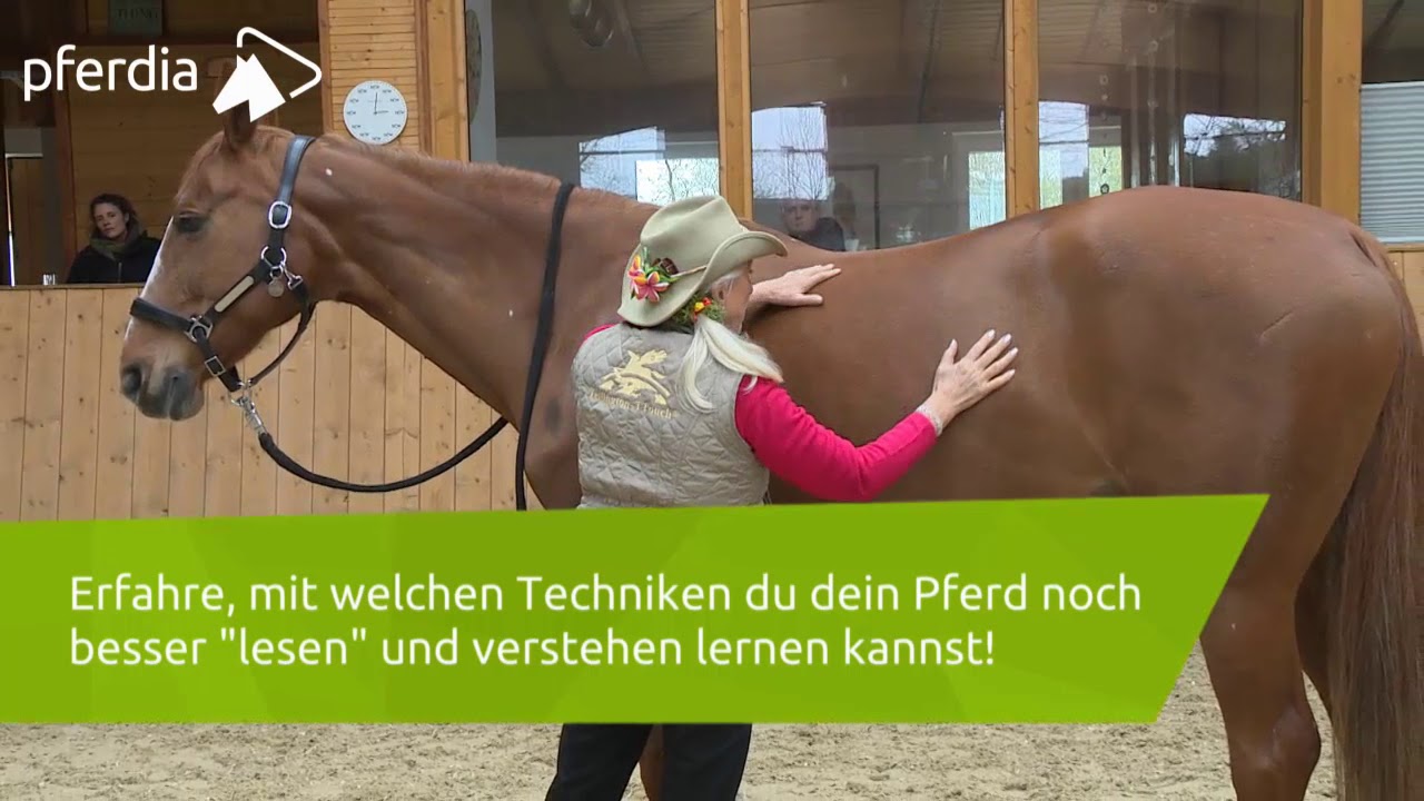 Den Pferdekörper erforschen - Tellington-TTouch-Training für Pferde | Linda Tellington-Jones