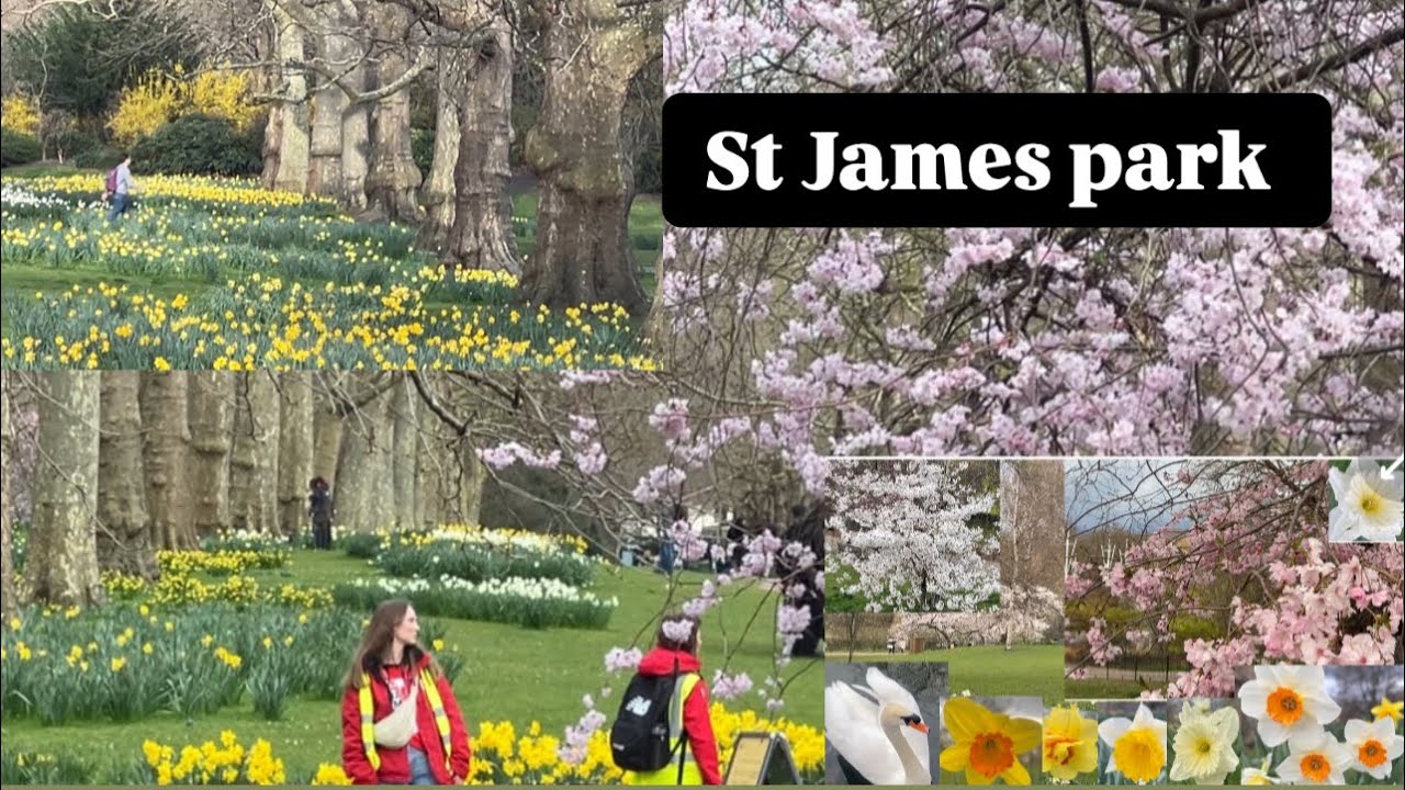 St.James BUCKINGHAM .An va enkawl tha em.Mipui in nuam an ti hle.Good Friday leh Easter hma in aw