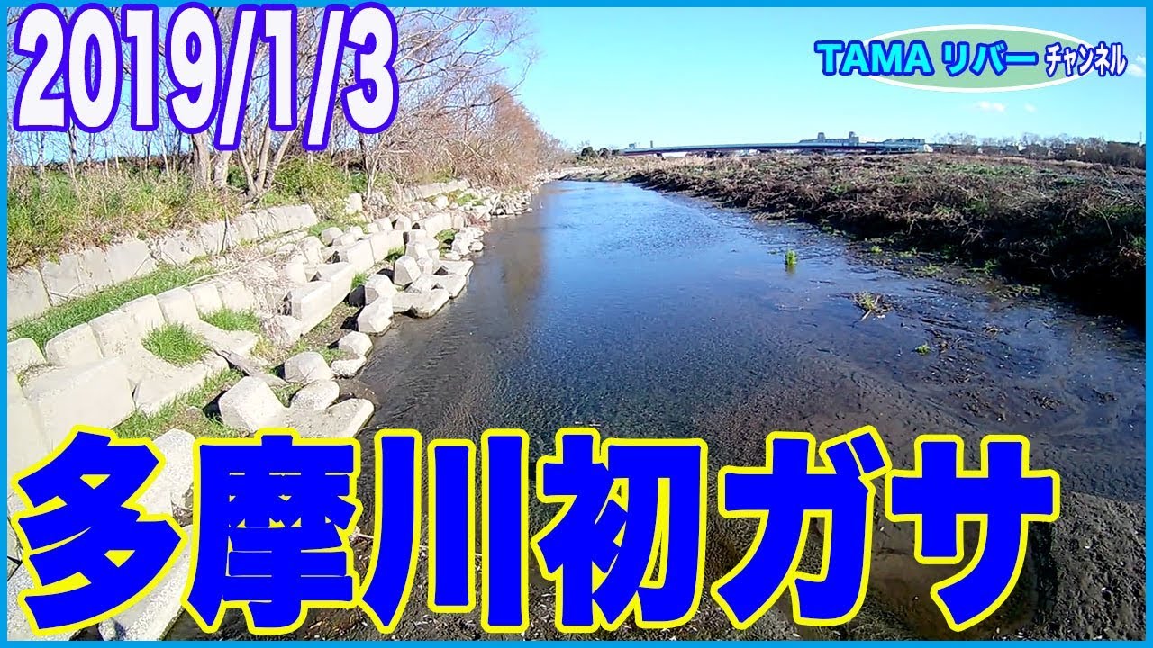 【2019初ガサガサ】冬の多摩川は裏切らない♪